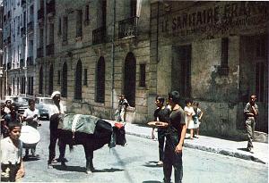 Oran- SDV- 0926